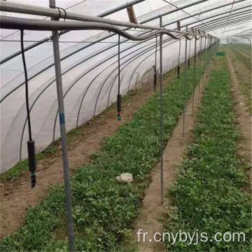 Micro-spray suspendu pour irrigation à économie d&#39;eau